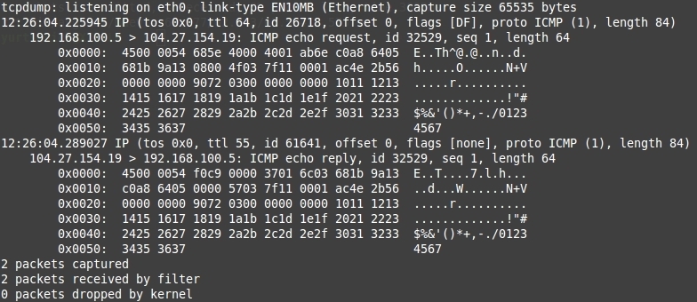 Вынік выкананьня каманды tcpdump